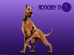 Scooby Doo 2 ingyen háttérképek